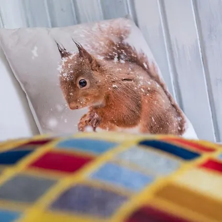 Apartman Pickert *